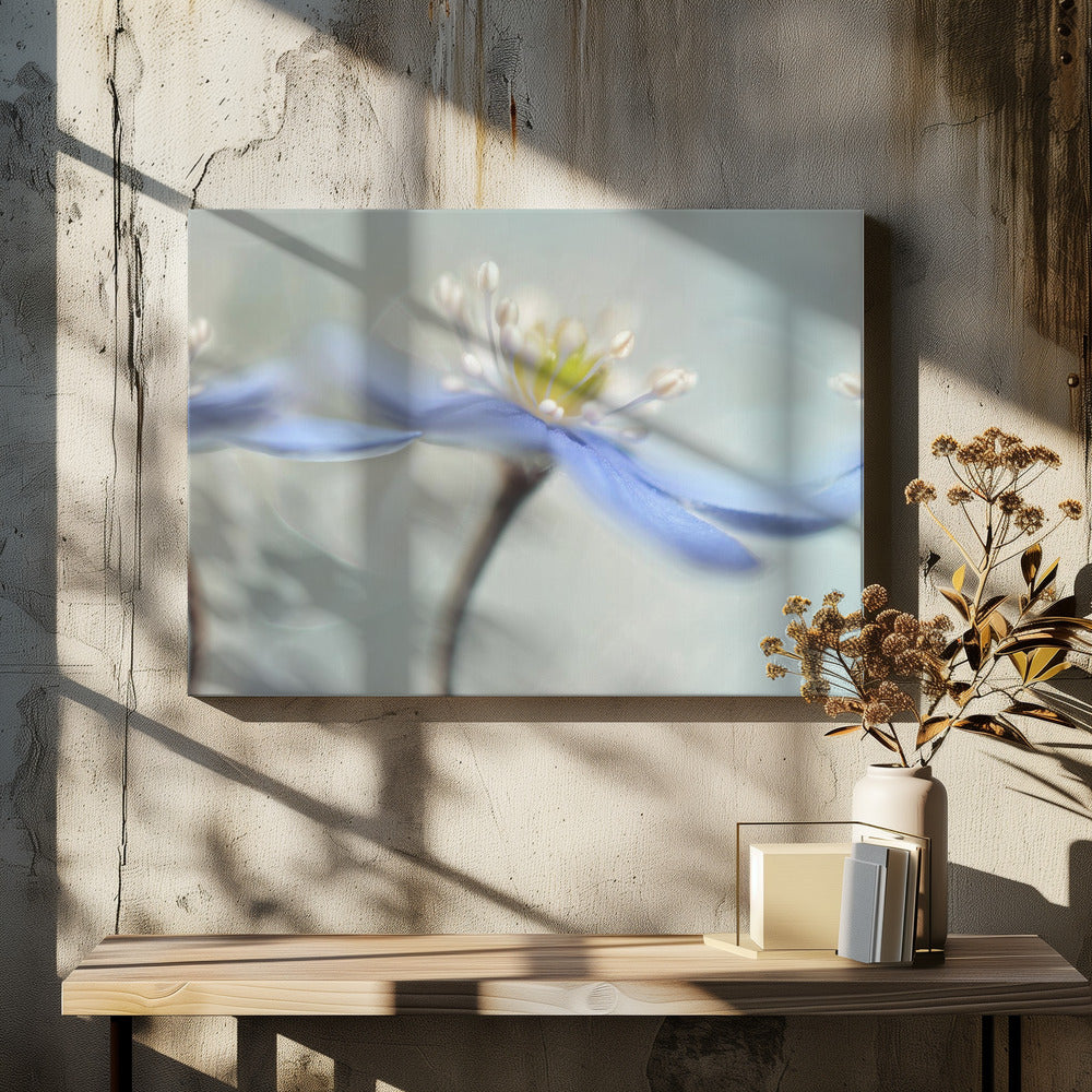 Dancing anemones | Canvas