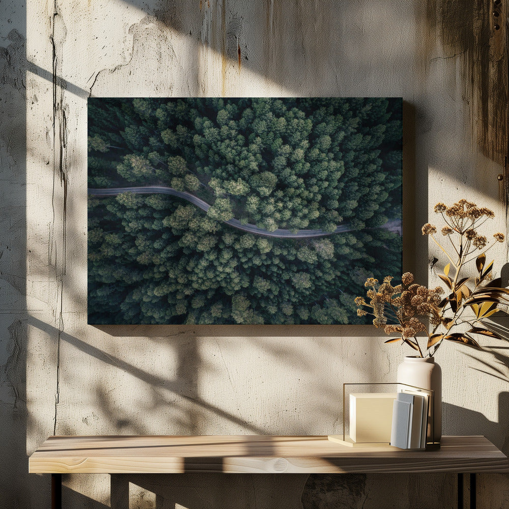 From above | Canvas