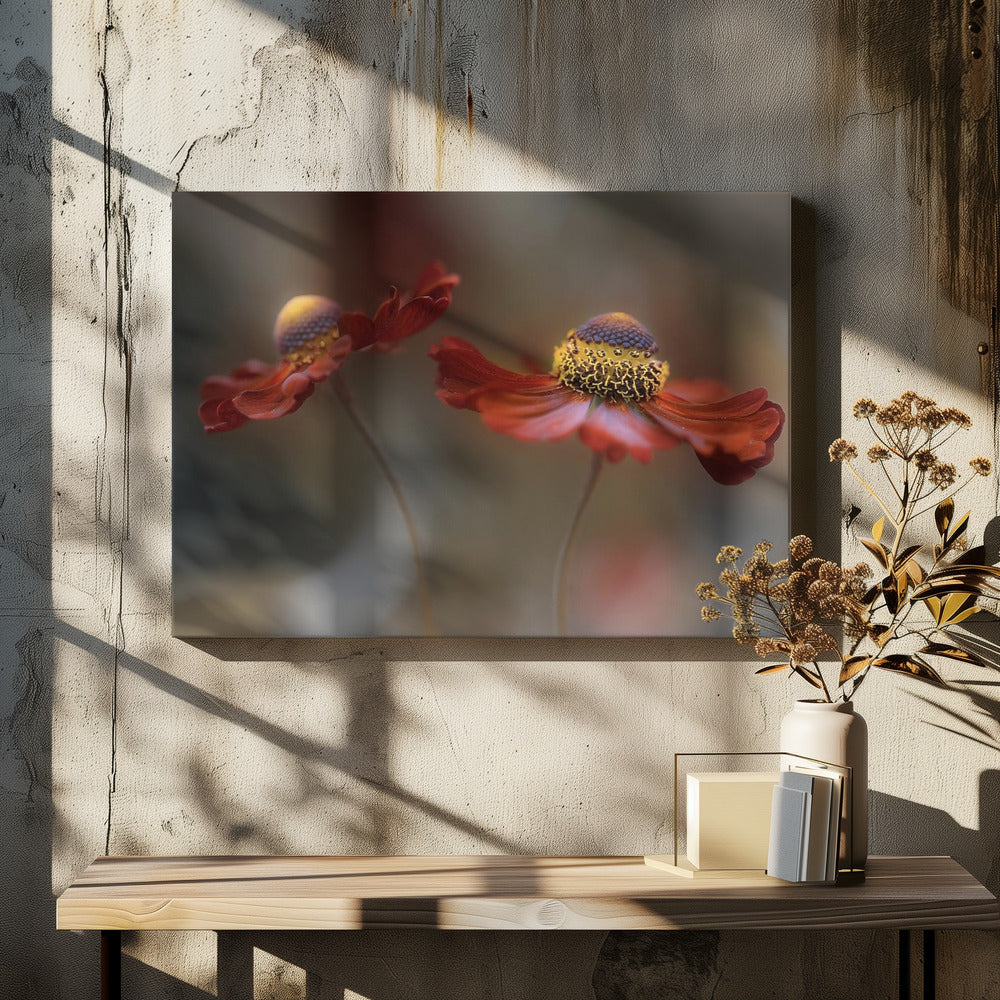 Helenium dance | Canvas