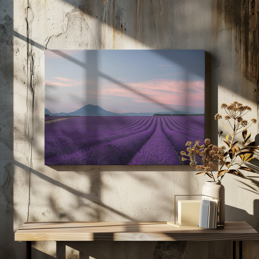 Lavender field | Canvas