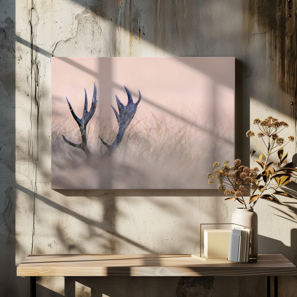 Hide &amp; Seek  ( Horn of Stag) | Canvas