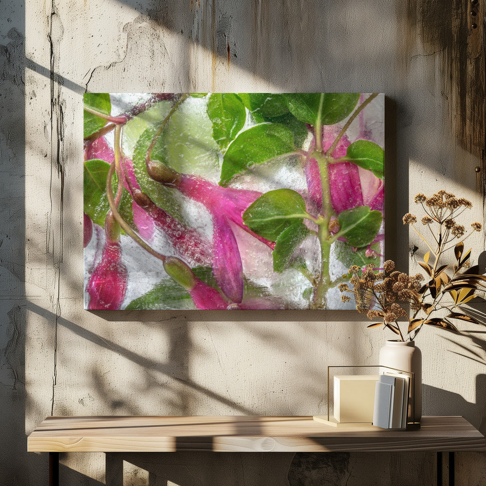 Fuchsia freeze | Canvas