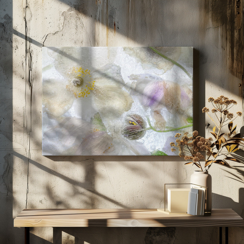 Anemone frost | Canvas