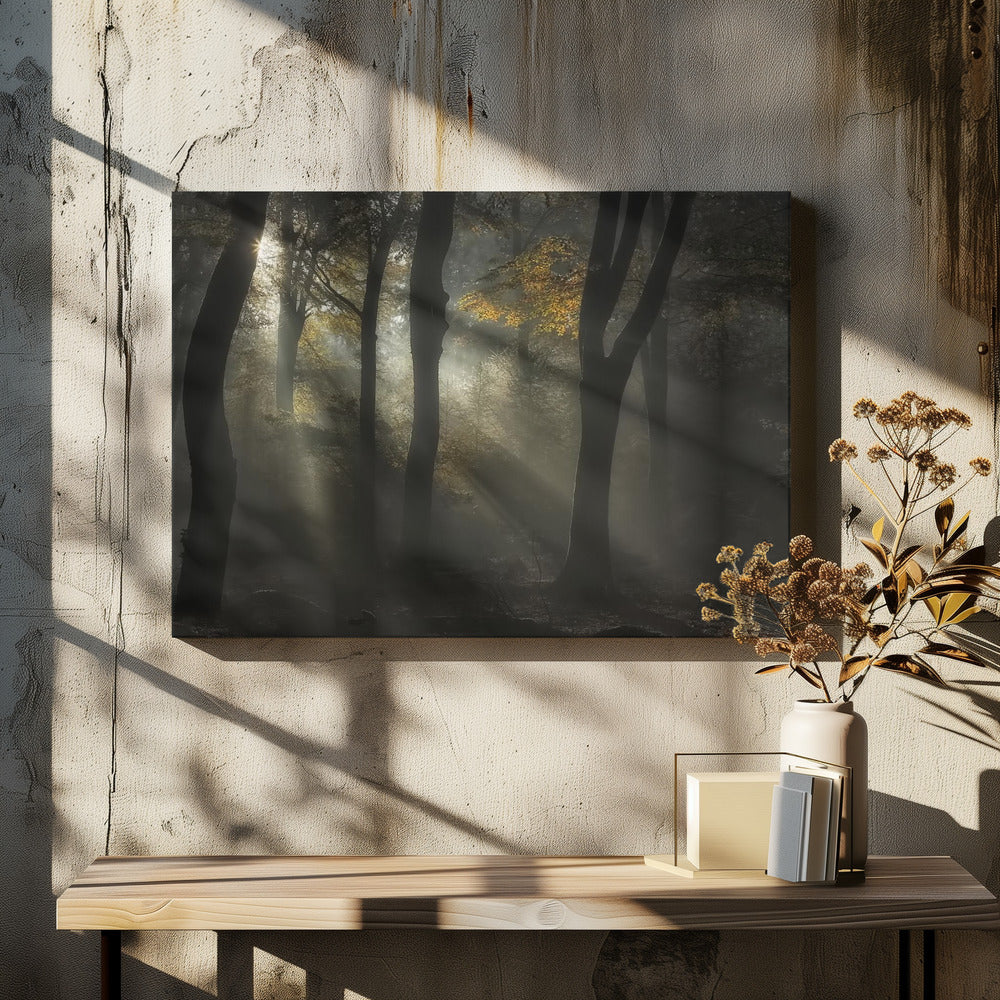 Sunbeam | Canvas