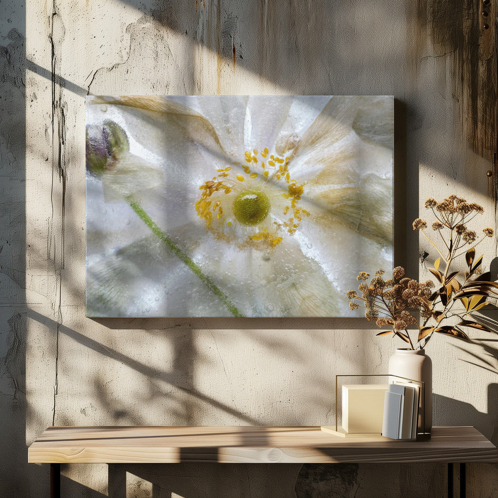 Floral freeze | Canvas