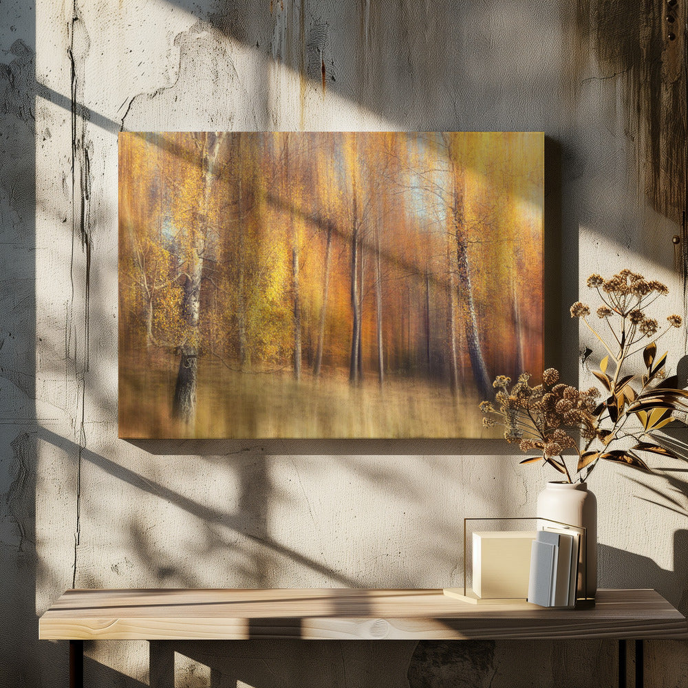 Autumn Birches | Canvas