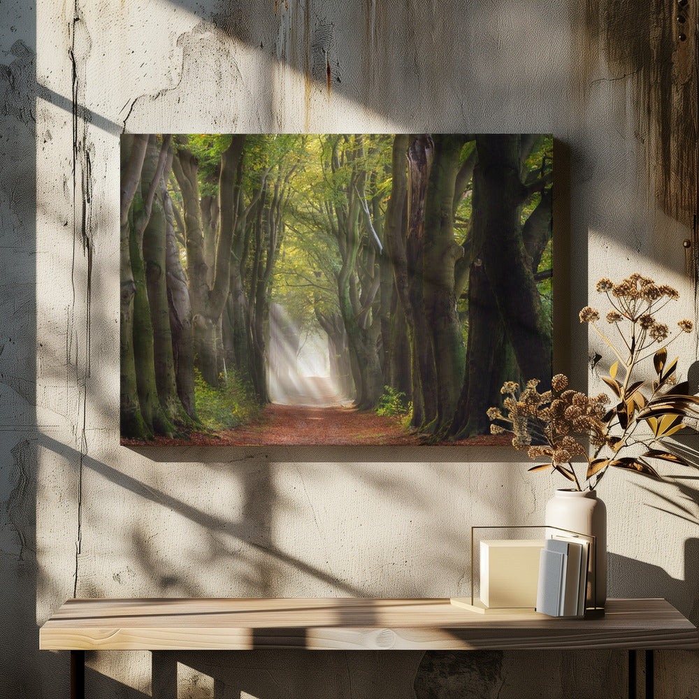 A Glorious Day | Canvas