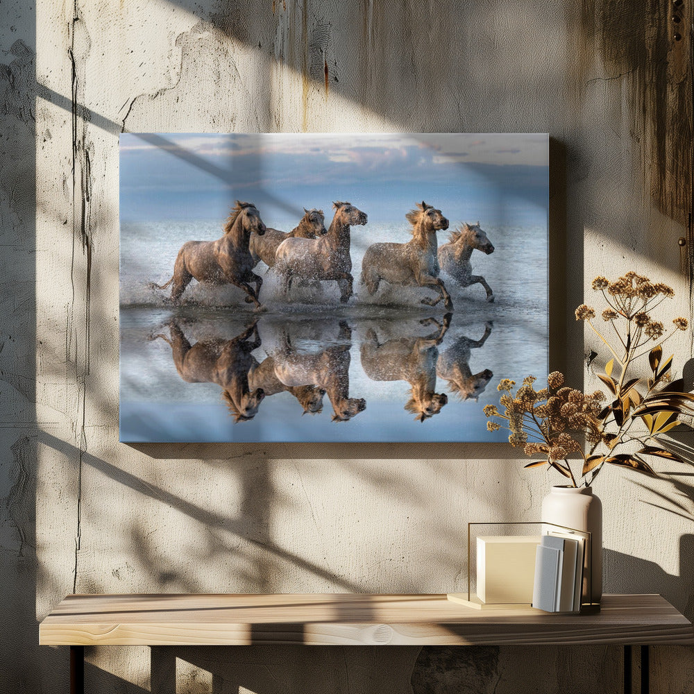 Horses and reflection | Canvas