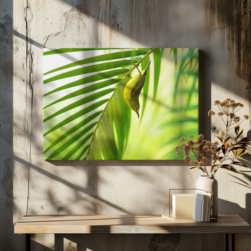 50 shades of green | Canvas