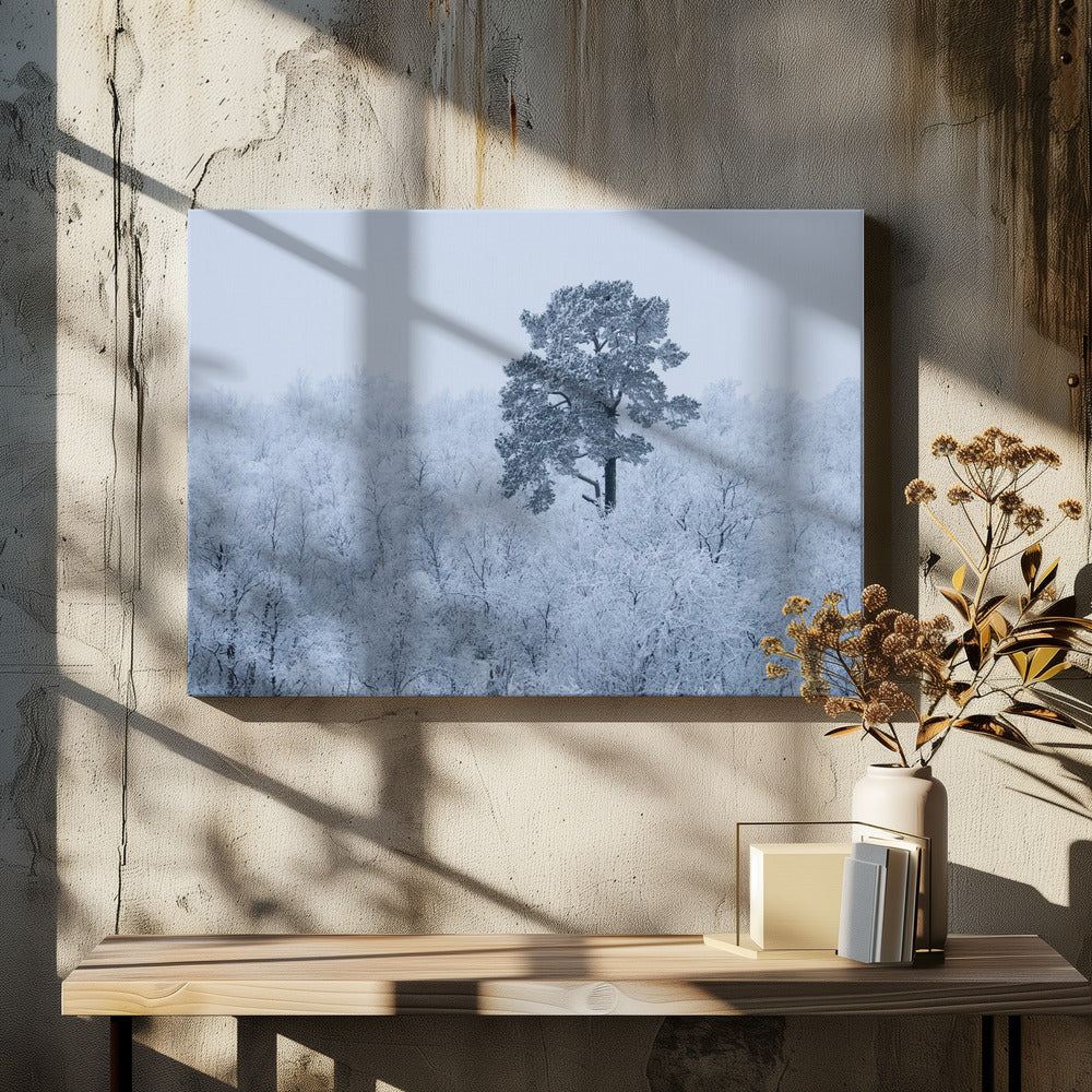 First snow | Canvas