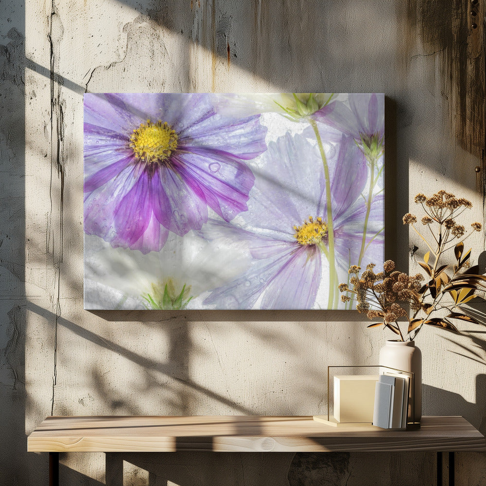 Cosmos cool | Canvas