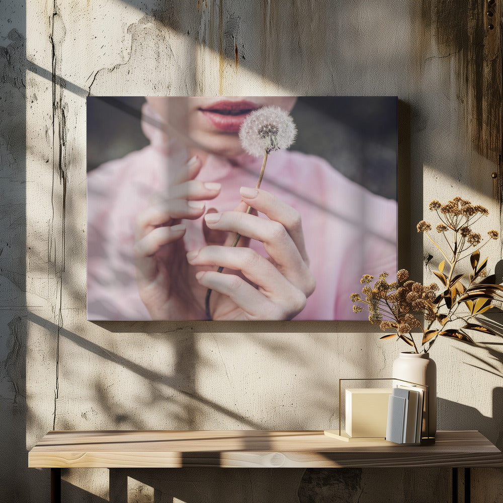 Dandelion | Canvas