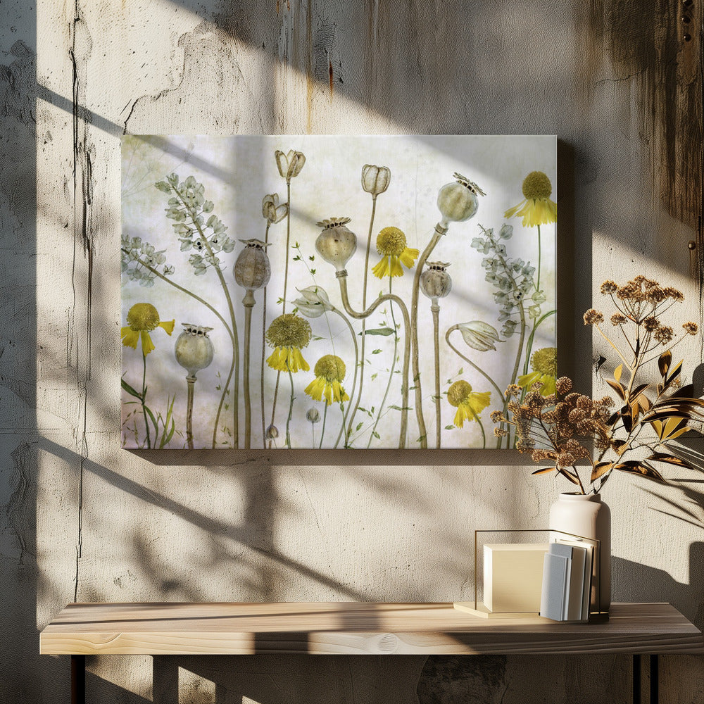 Poppies and Helenium | Canvas