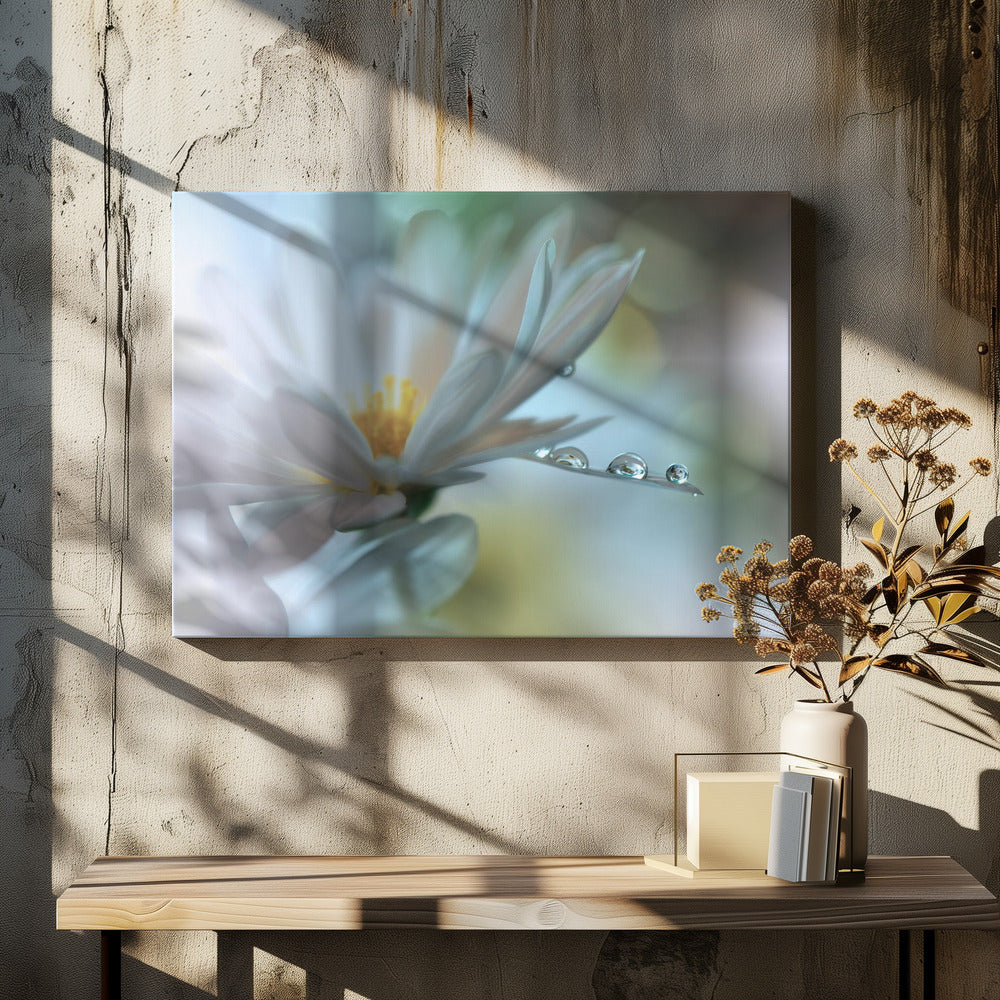 Light touch... | Canvas