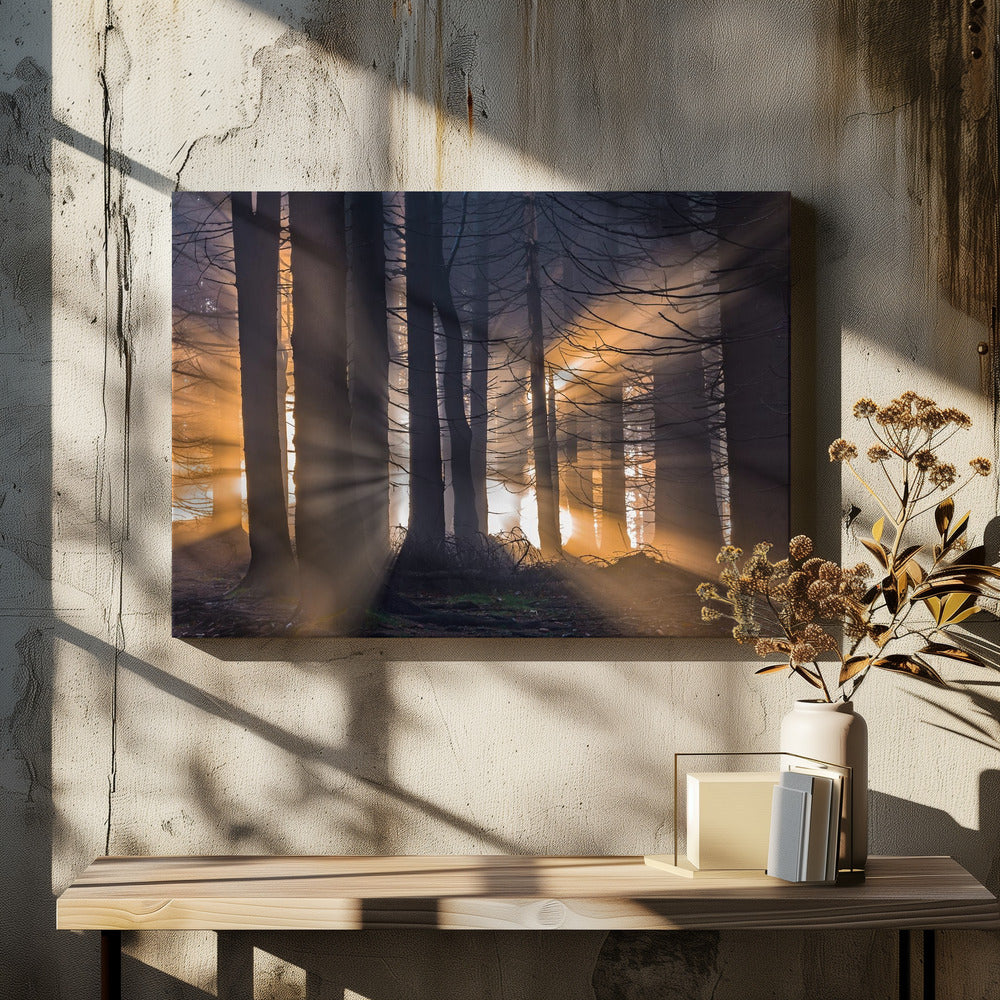 Forest | Canvas