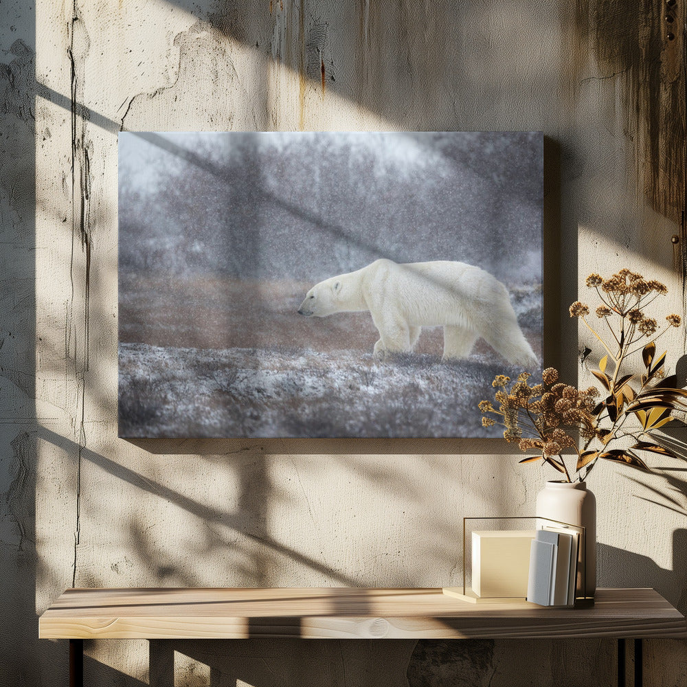 Let it Snow! | Canvas