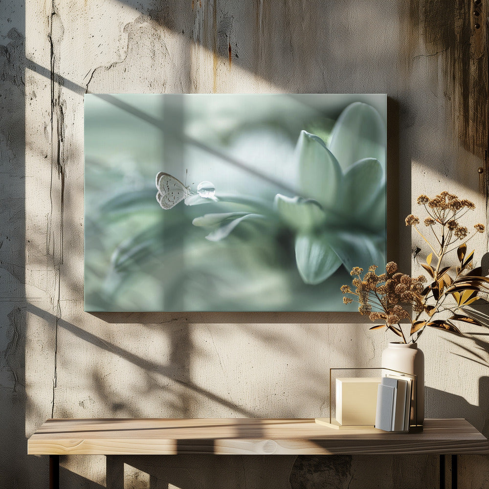 bola ajaib | Canvas