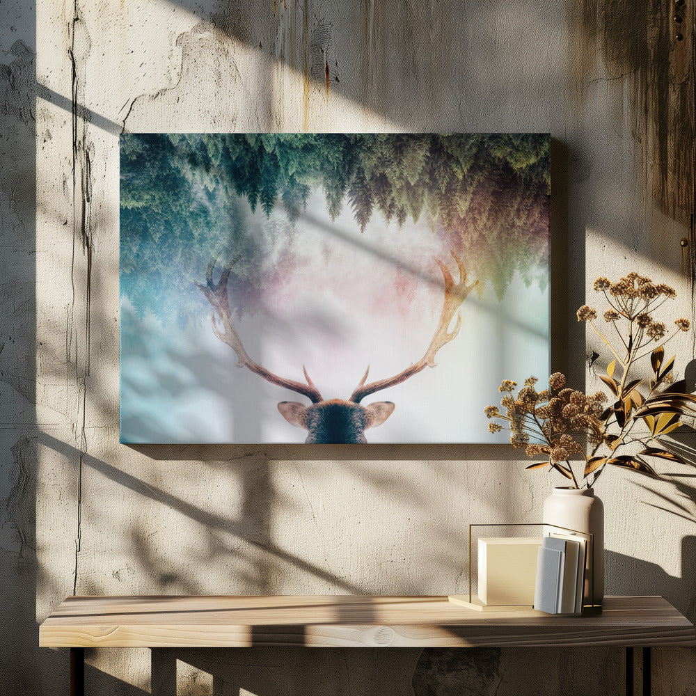 Antler | Canvas