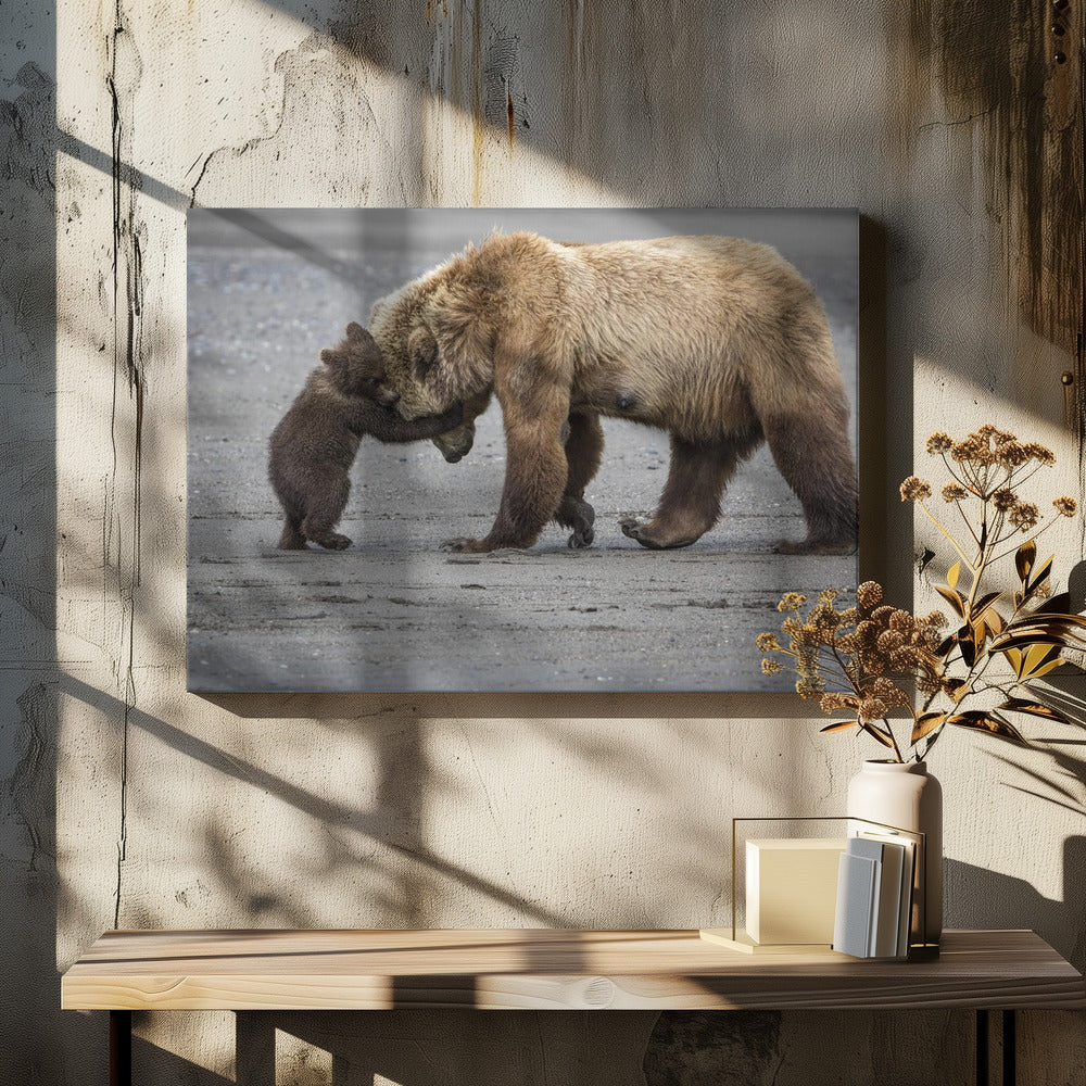 A Little Bear Hug | Canvas