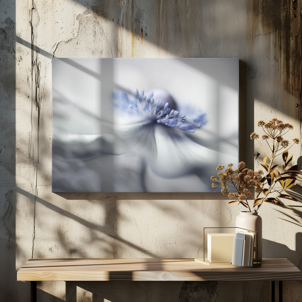 Anemone spirit | Canvas