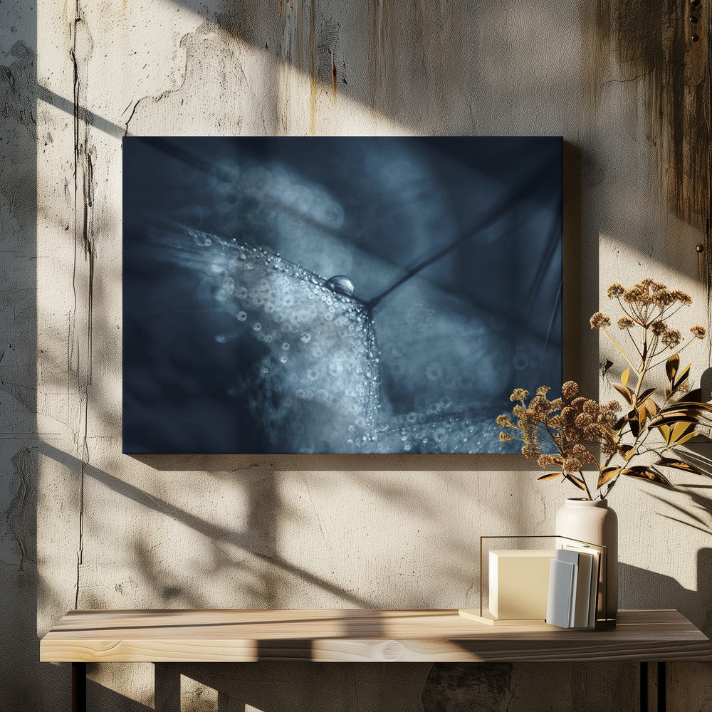 Blue dandelions | Canvas