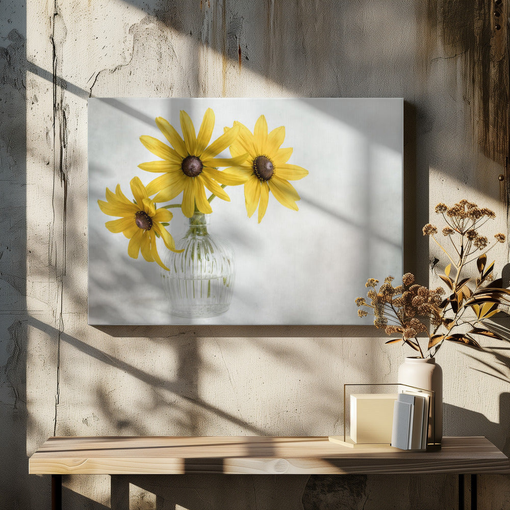 Rudbeckia | Canvas