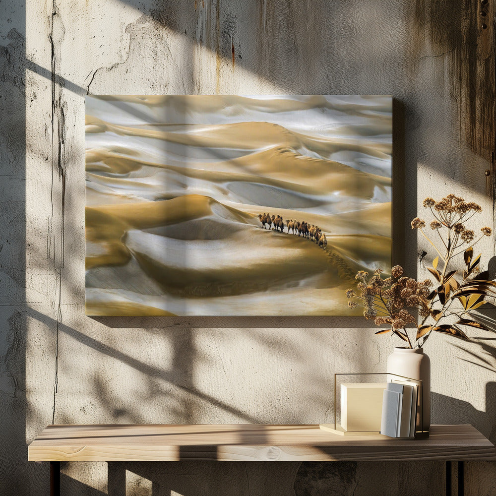 Desert Winter | Canvas