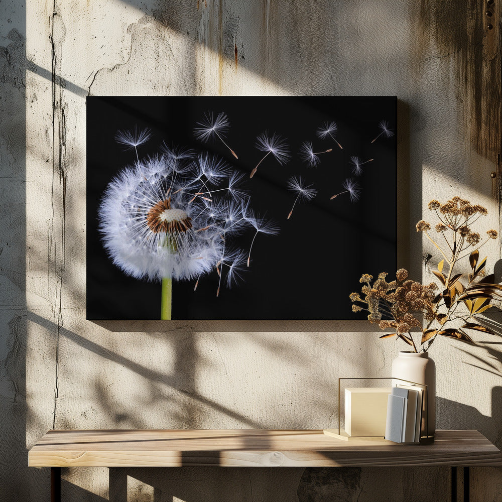 Dandelion Blowing | Canvas
