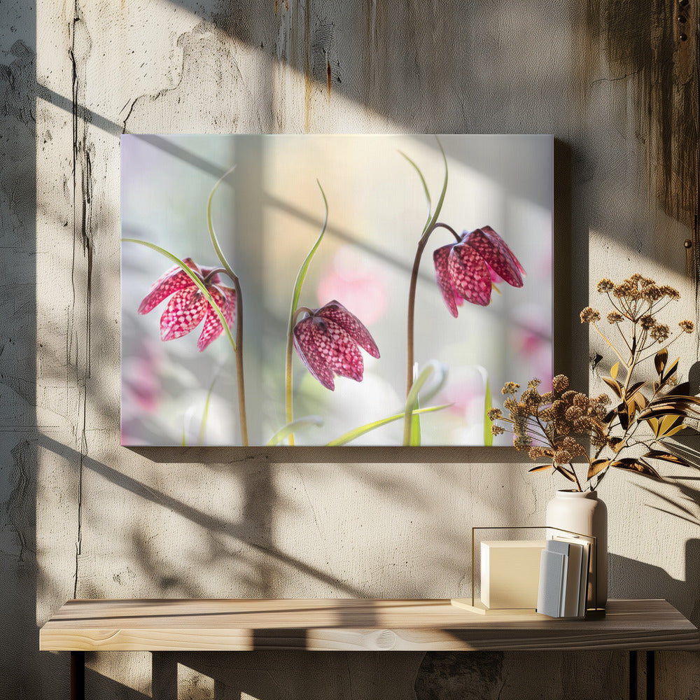 Snakes head Fritillary | Canvas