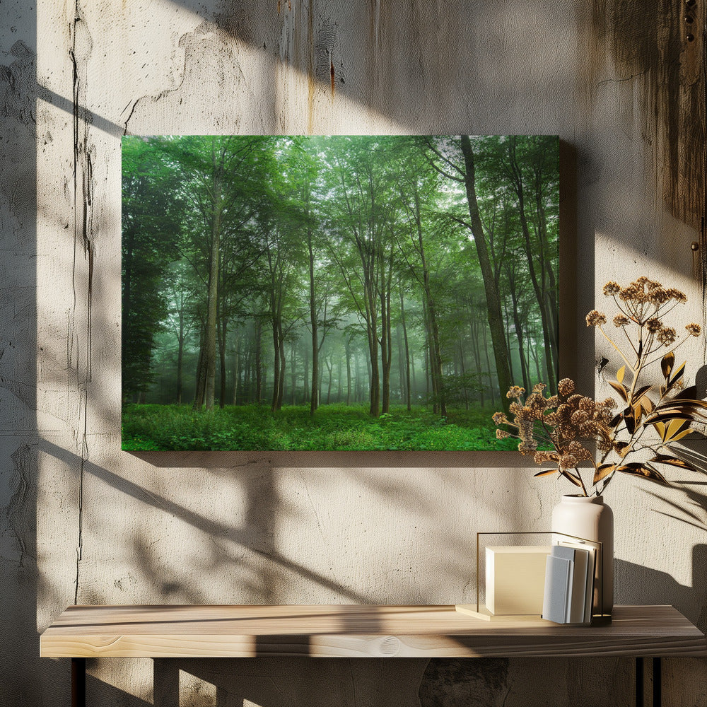 Forest View | Canvas