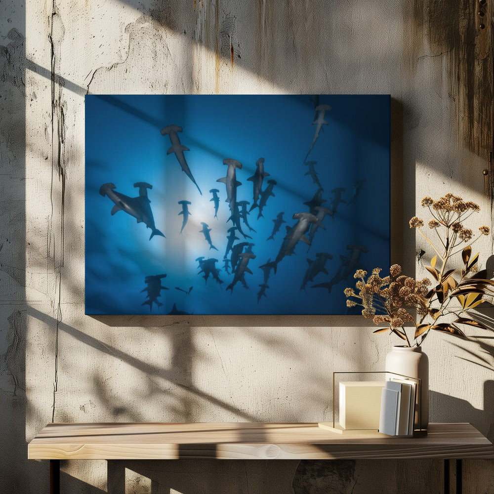 Hammerhead Shark - Underwater Photography | Canvas
