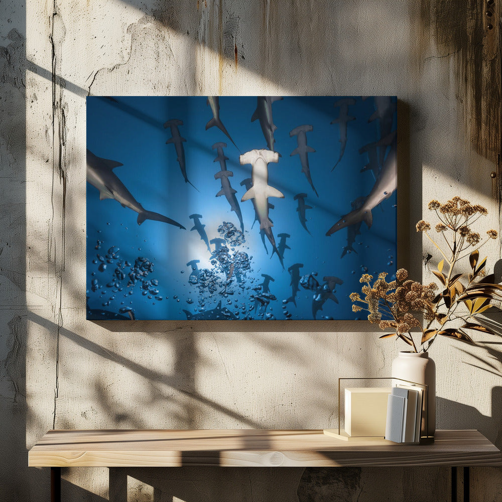Hammerhead Shark | Canvas