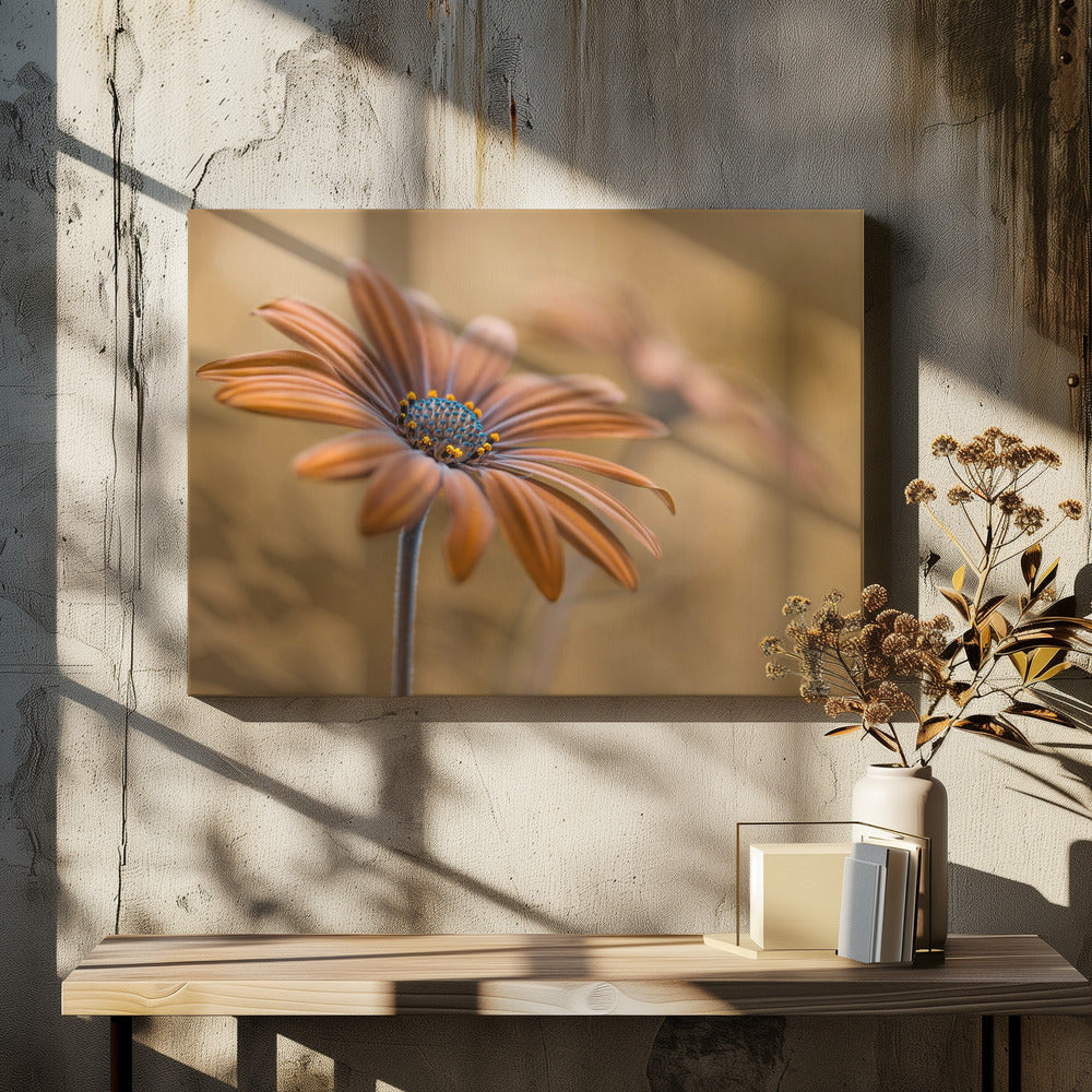 Summer glow | Canvas