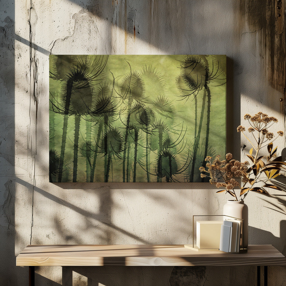 Wild Teasel | Canvas