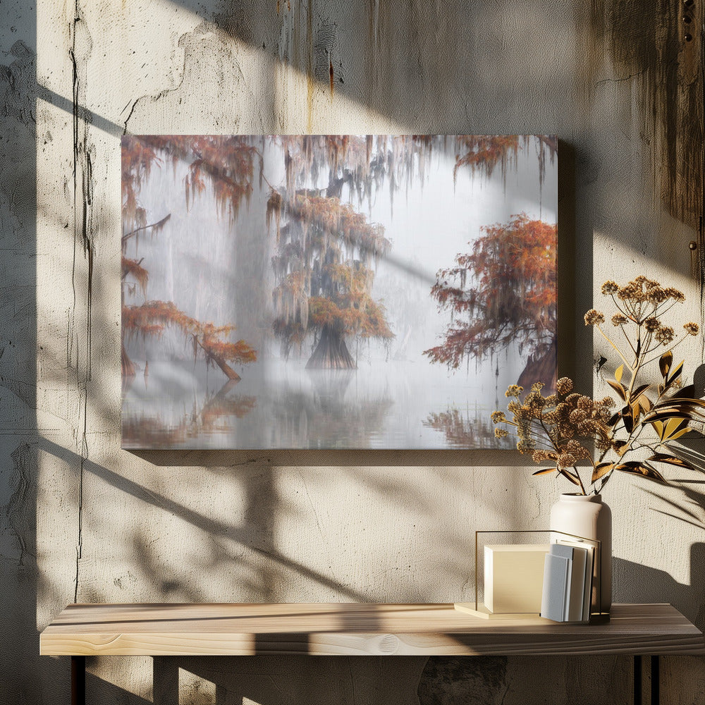 Mysty Bayou | Canvas