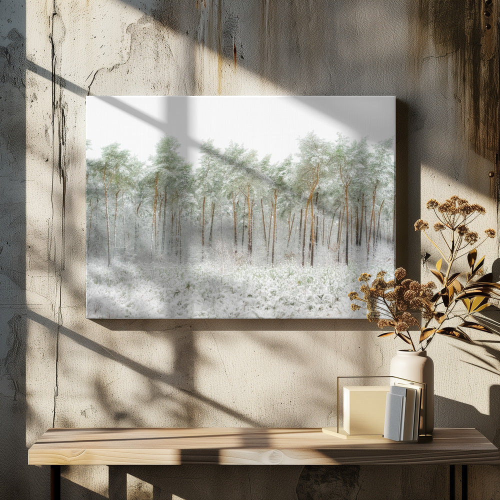 Snow world | Canvas