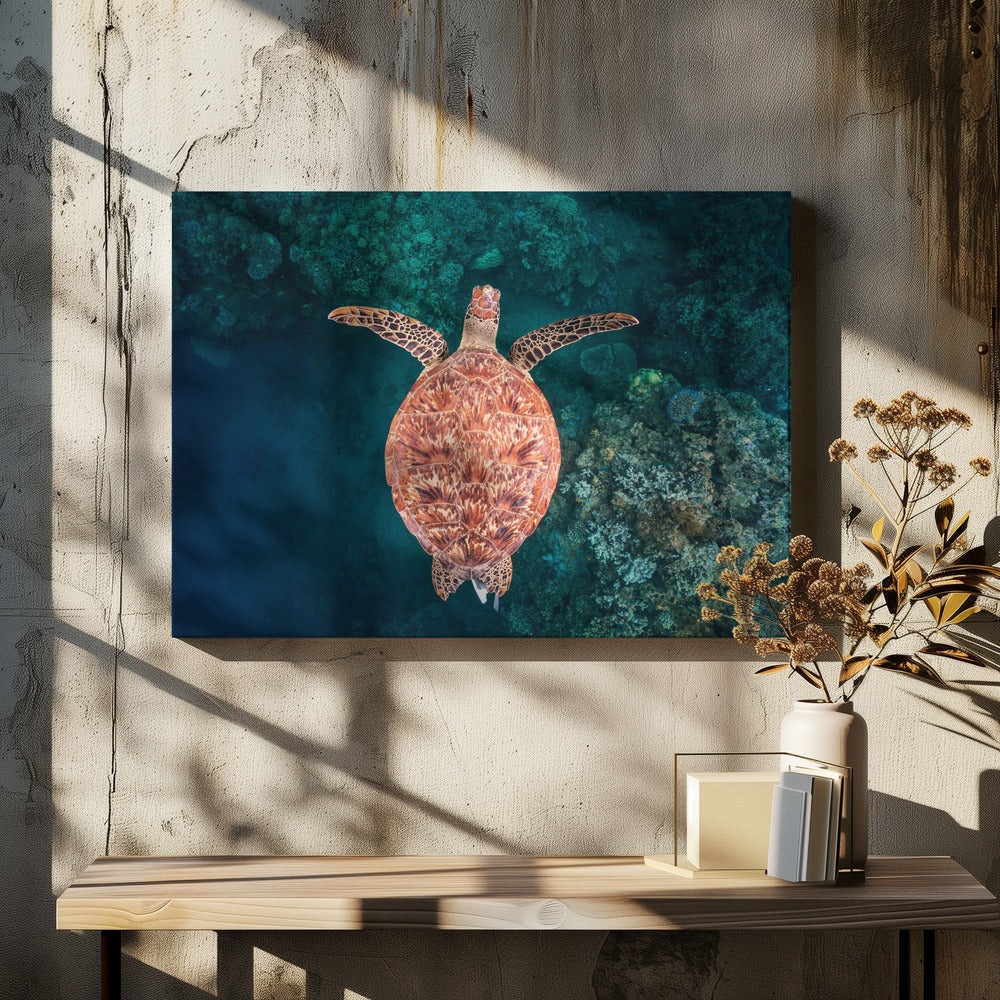 Flying over the reef | Canvas