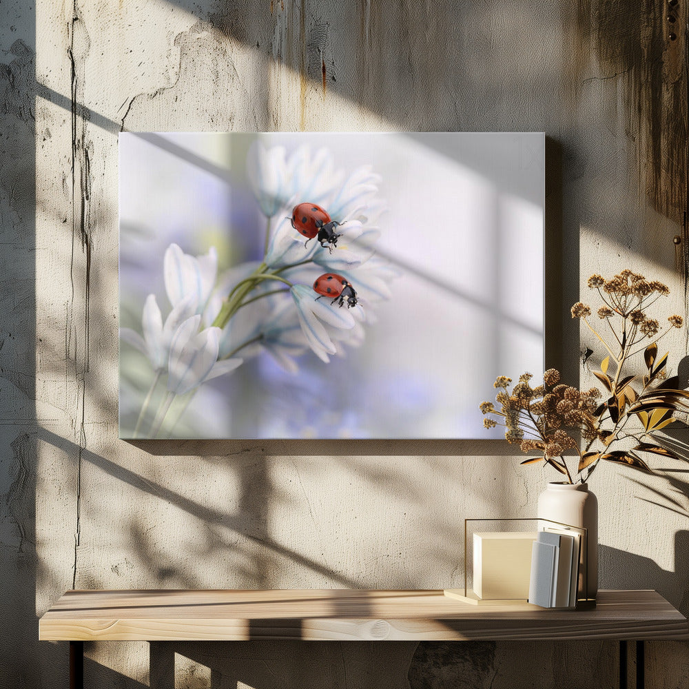 Ladybirds | Canvas
