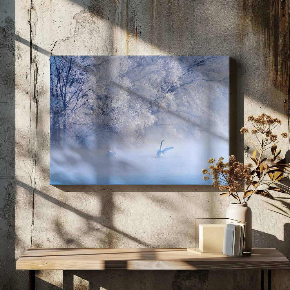 Swan Lake | Canvas