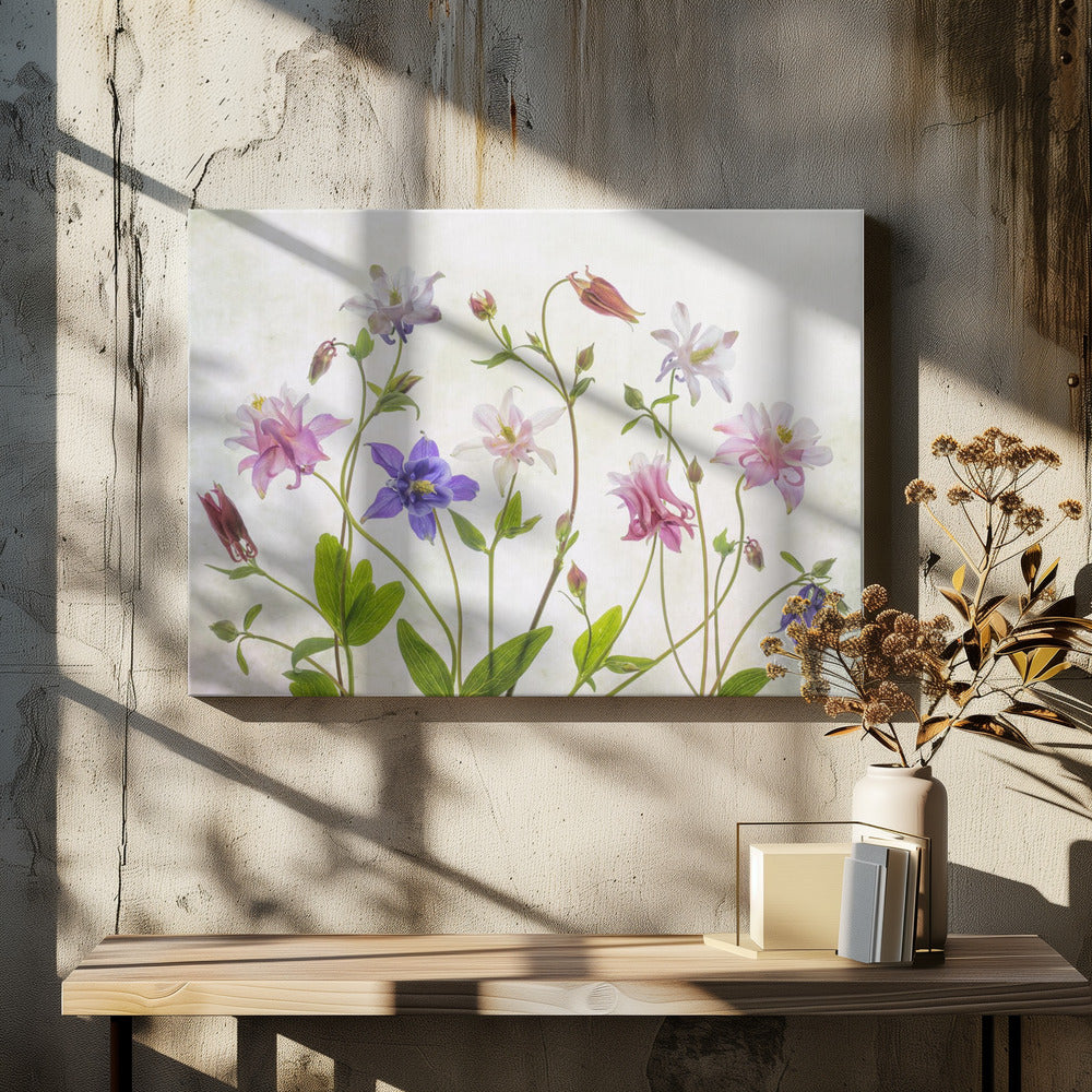 Columbine | Canvas