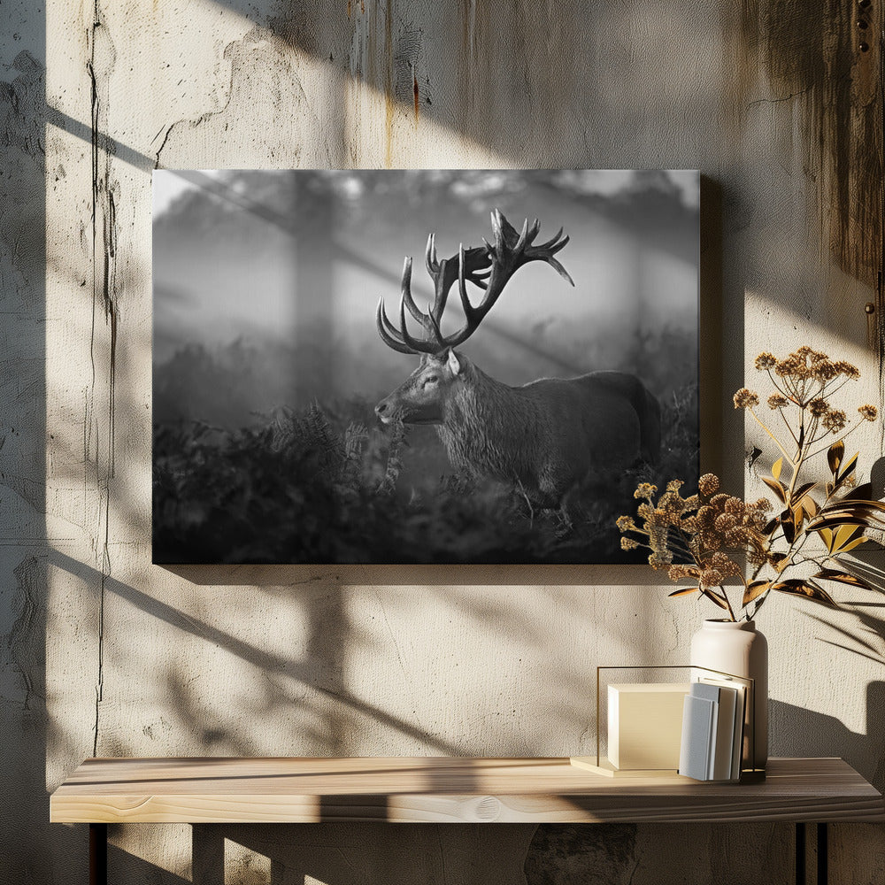 Sunny Morning | Canvas