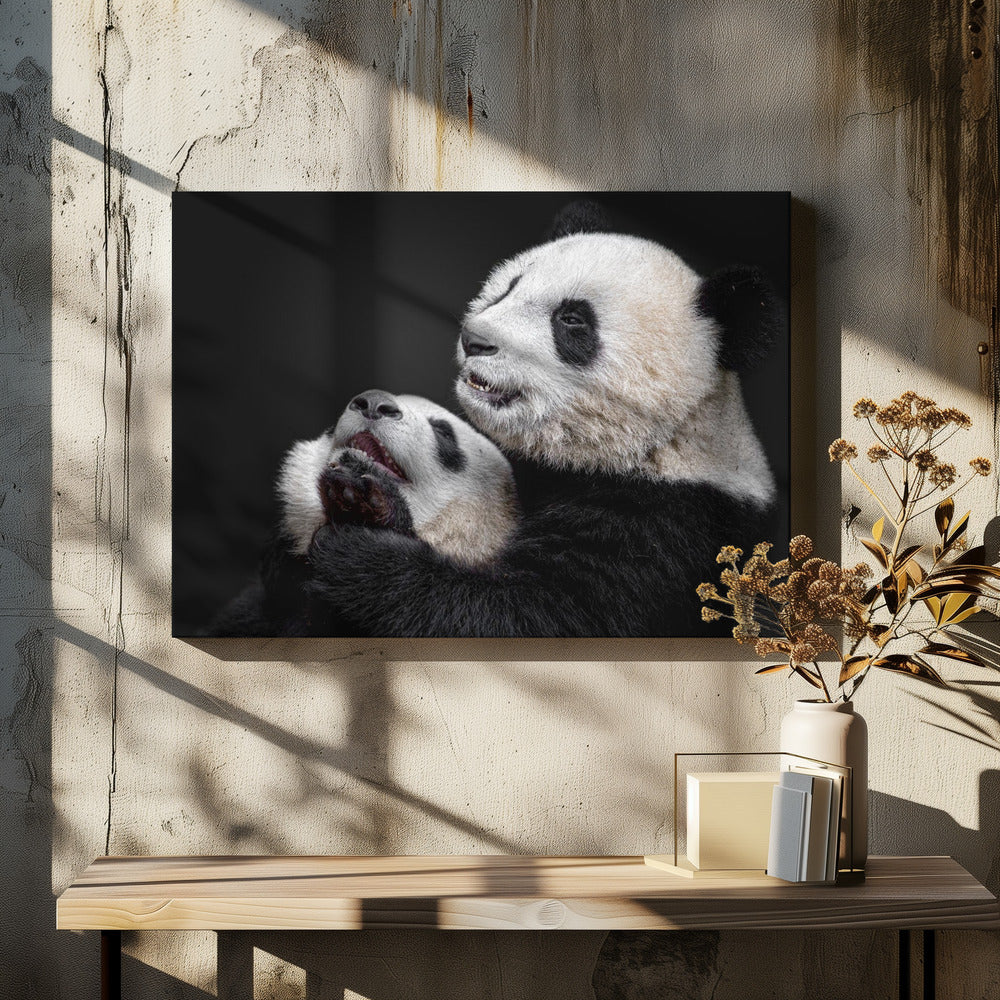 Pandas | Canvas