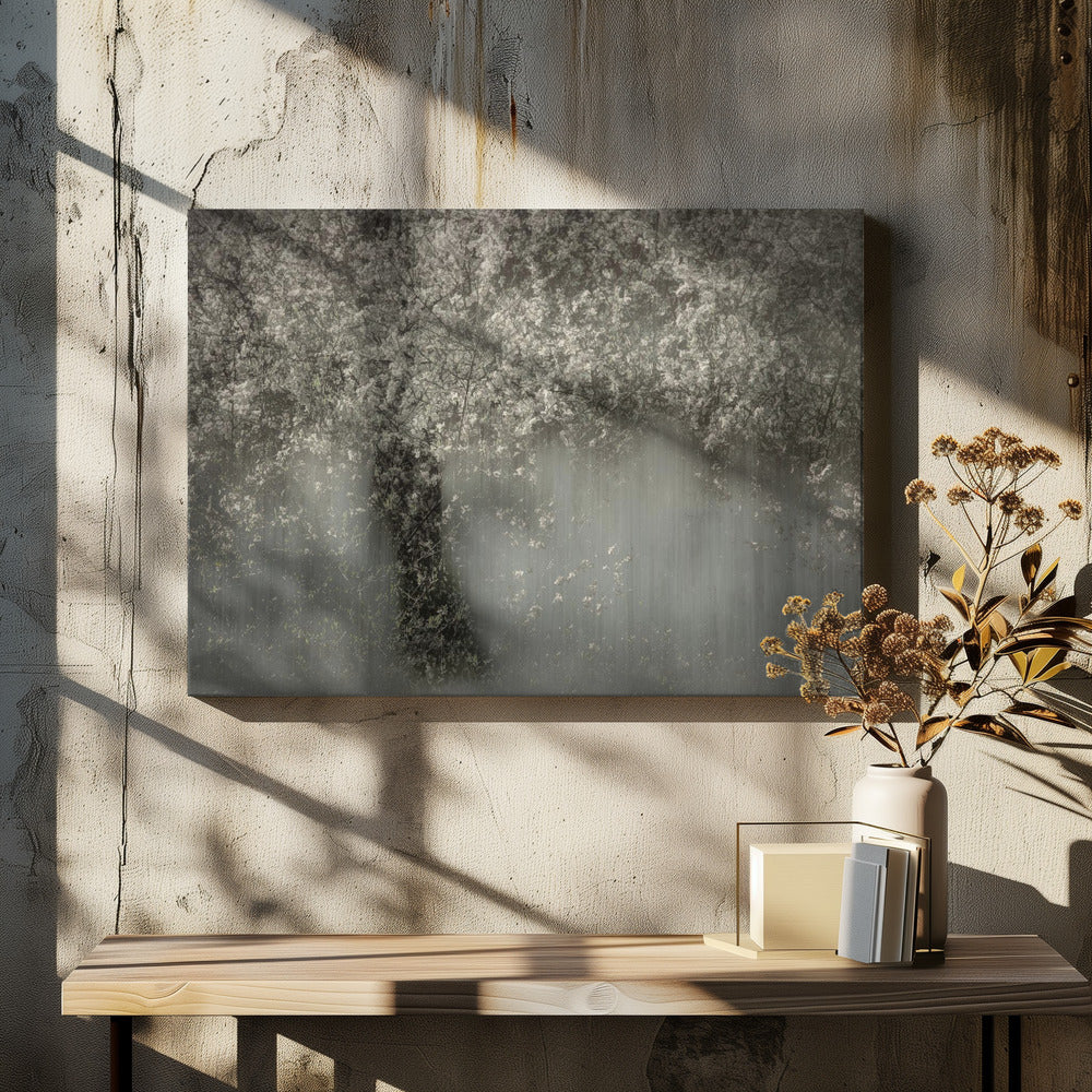 White blossom | Canvas