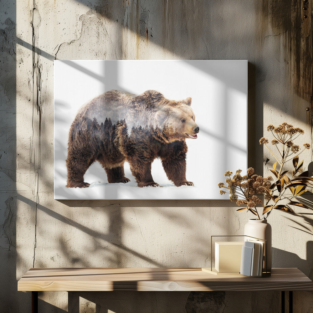 Bear | Canvas