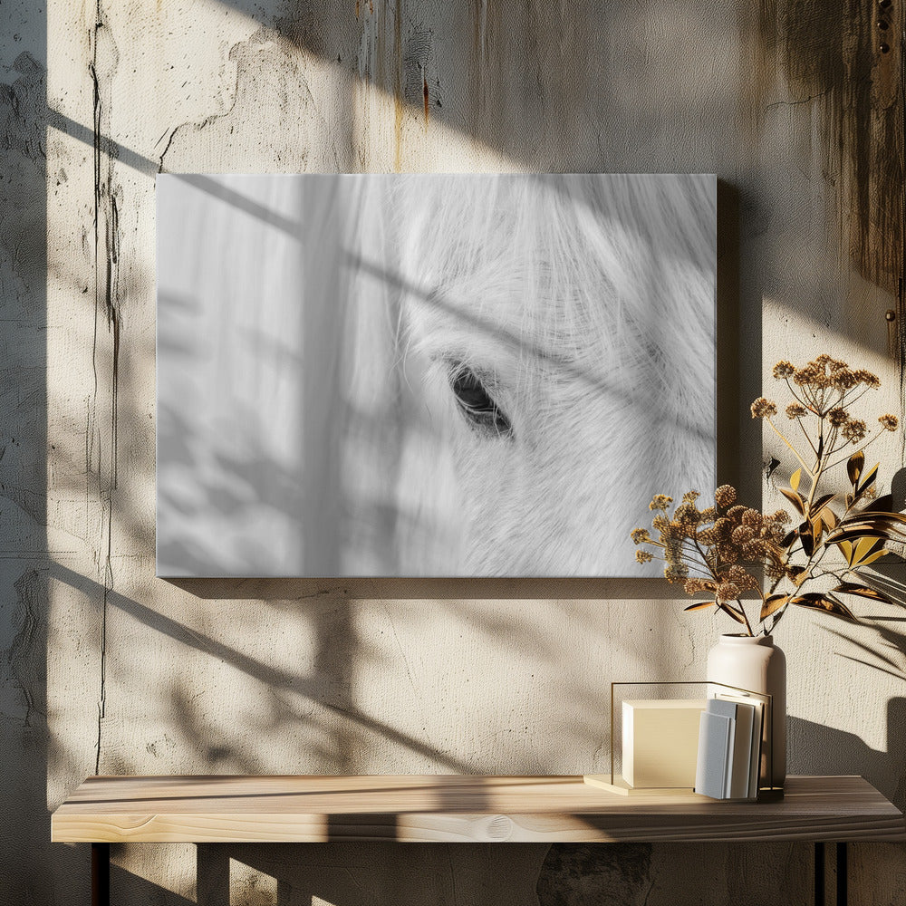 Whisper of Iceland | Canvas