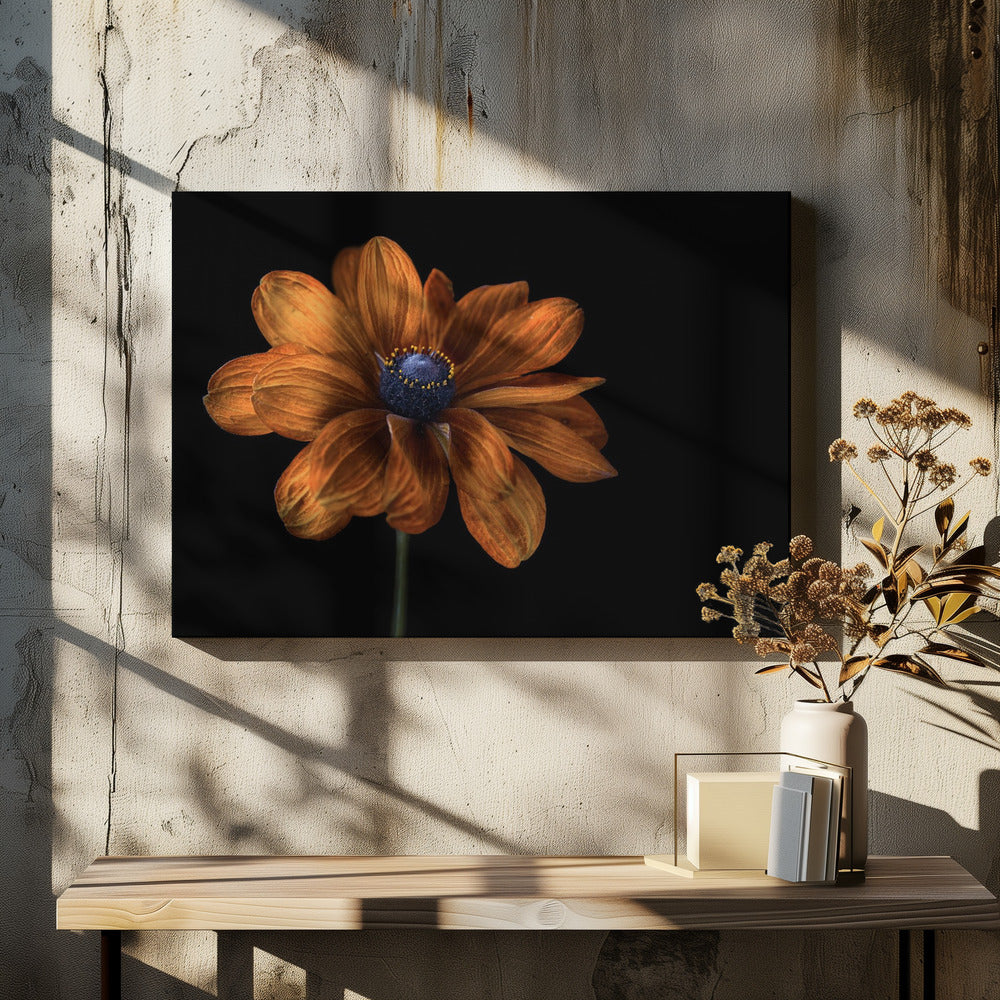 Rudbeckia | Canvas