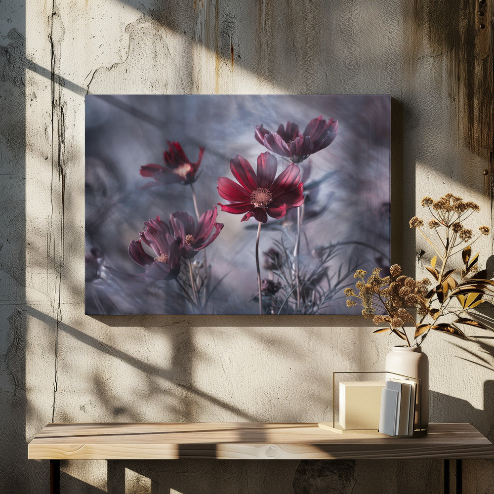 Cosmoslicious | Canvas