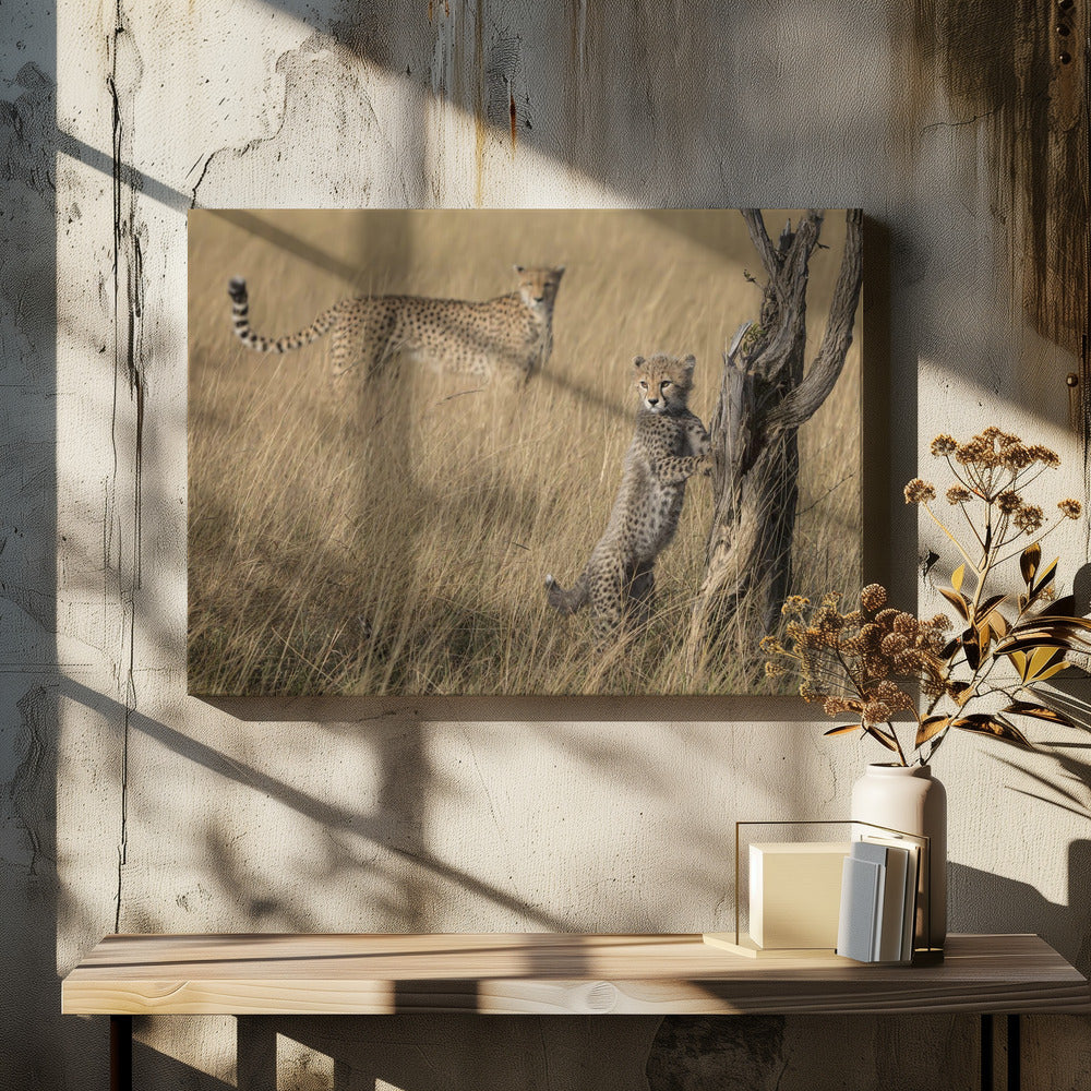 I've Got it Mum | Canvas