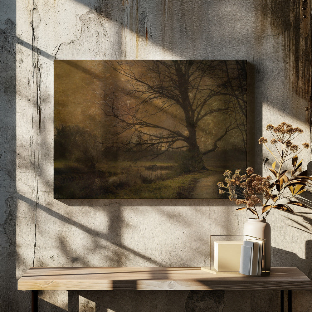 Old tree | Canvas