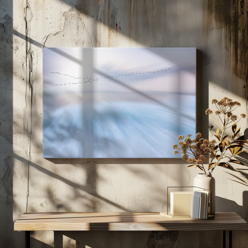 fly over | Canvas